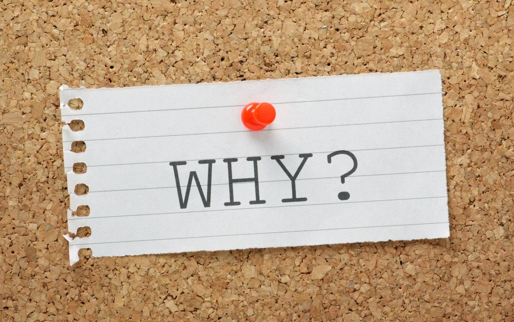 The Most Common Causes of a Bad Moisture Reading