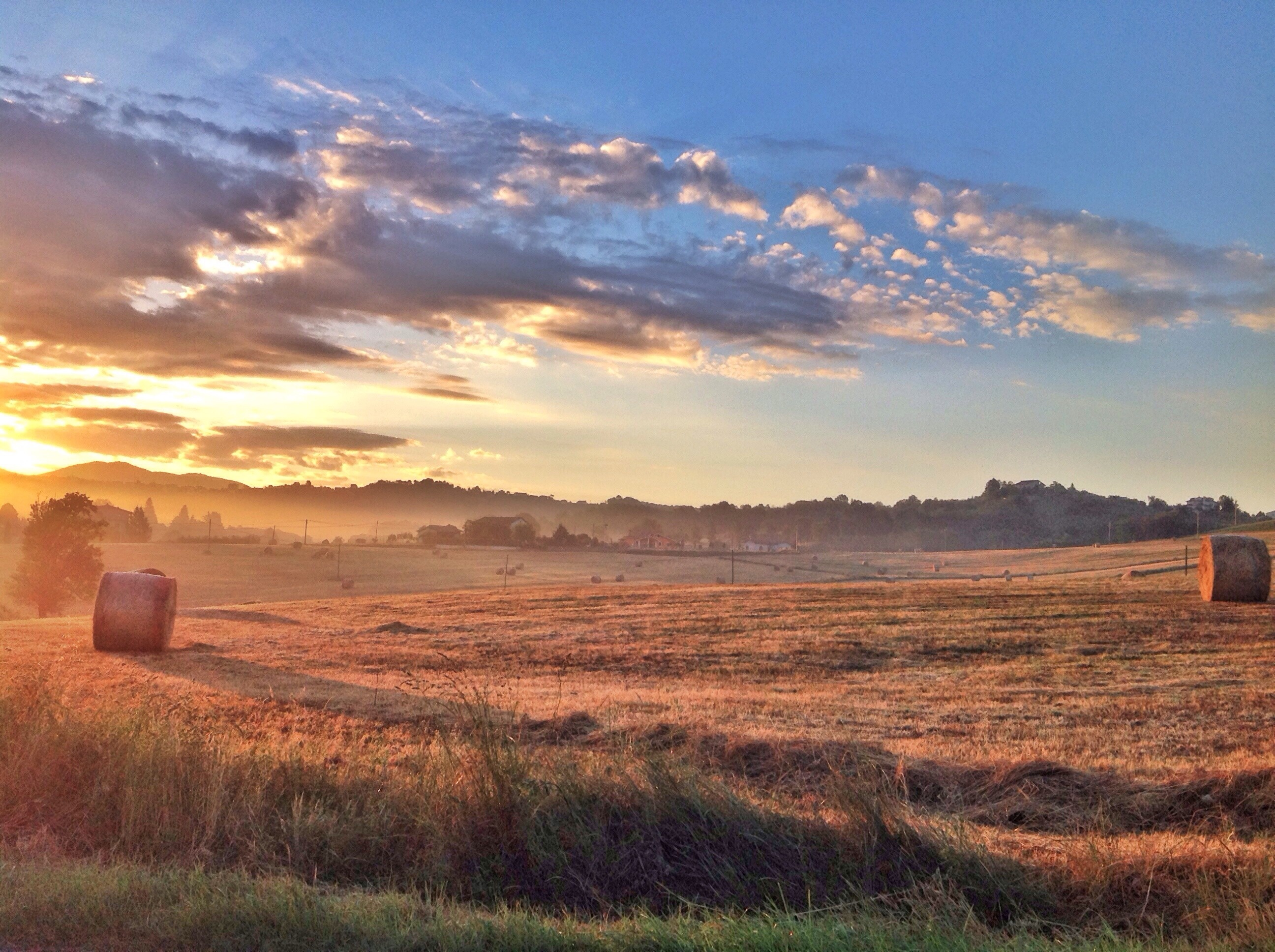 Portable vs. Baler-Mounted Hay Moisture Meters: Pros and Cons