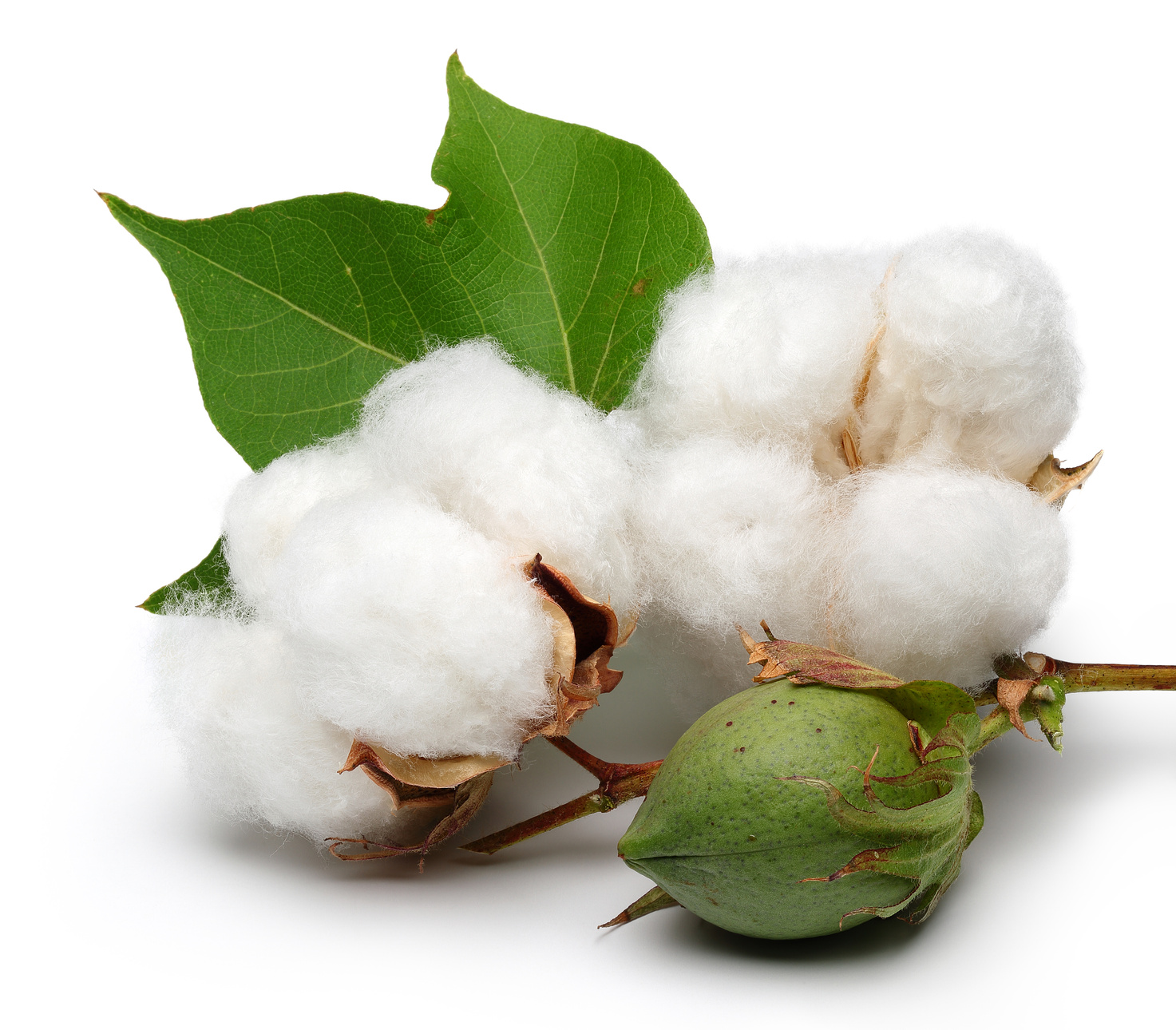 5 Tips For Measuring Moisture In Cotton 5 Tips For Measuring Moisture In Cotton
