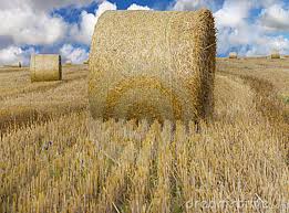 Baled hay requires a longer probe to get a measurement of the moisture at the center of the bale.