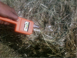 moisture meter hay stacks