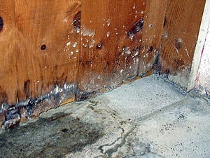 Wood rotting or metal rusting are common effects of excess moisture accumulation