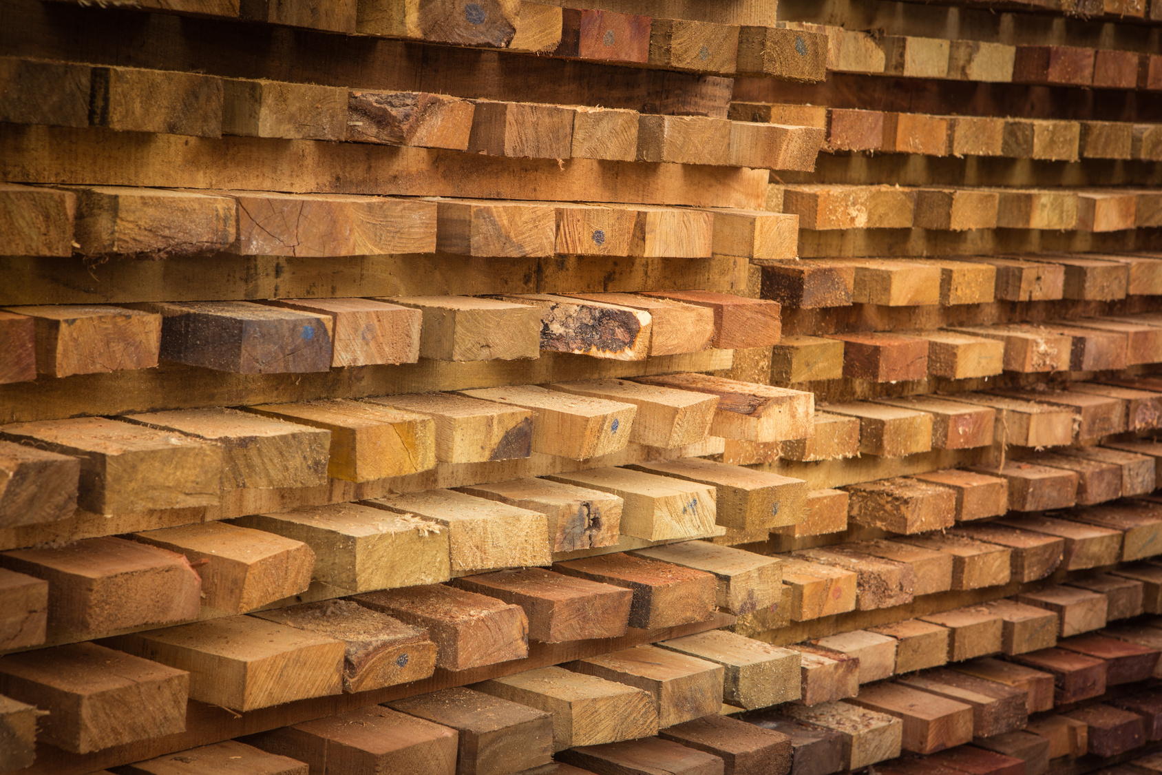 Acclimation of Wood