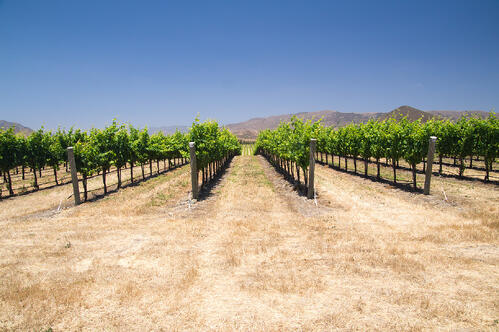 Recent Droughts, Farming, and Moisture Meters for Soil