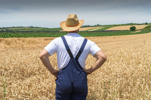 4 Tips for Measuring Grain Moisture