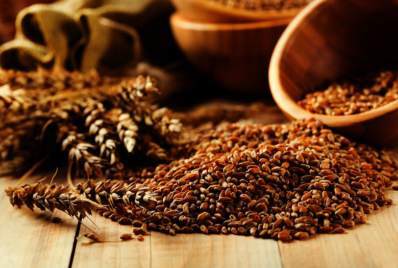 4 Tips for Measuring Grain Moisture