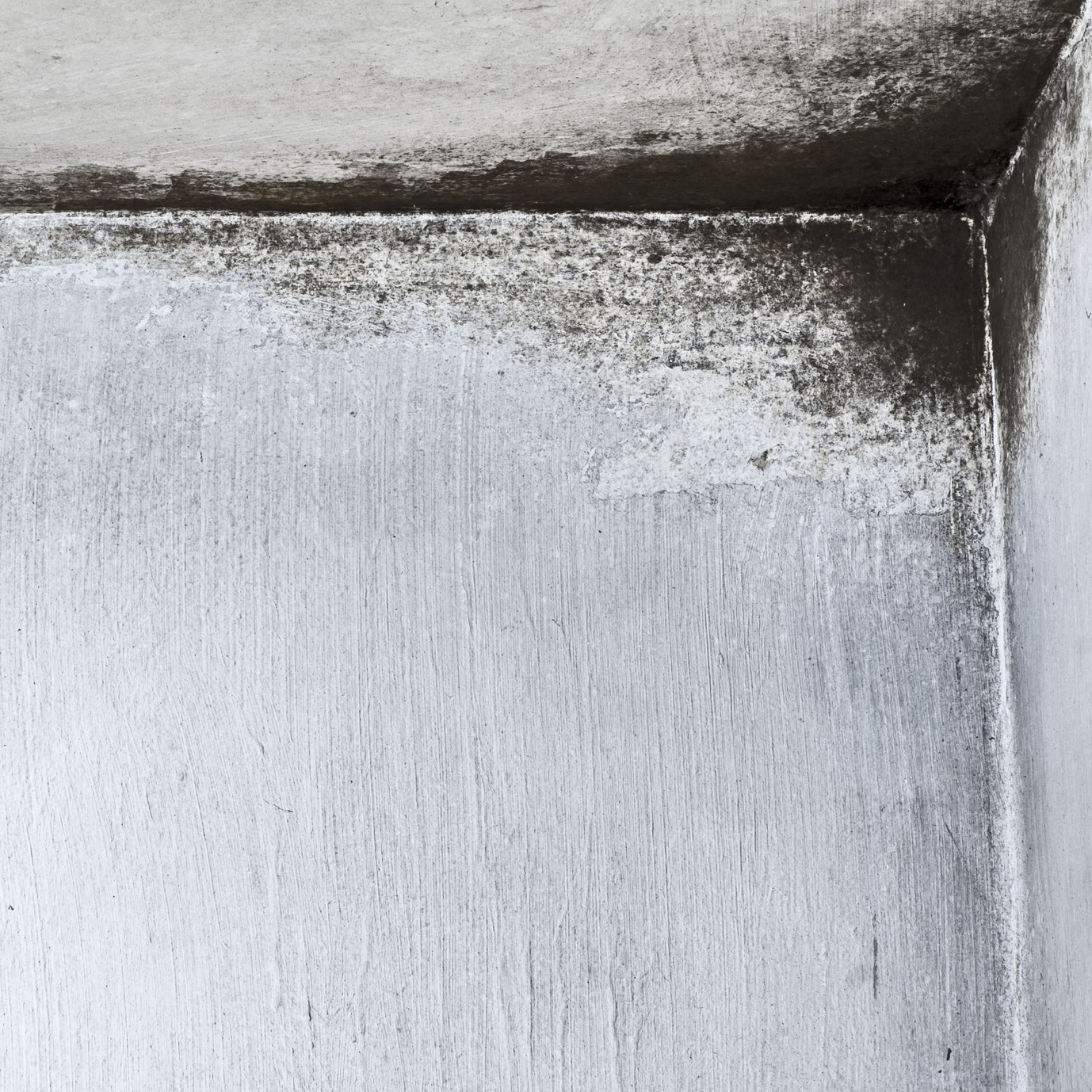 mold concrete