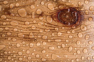 wood wet