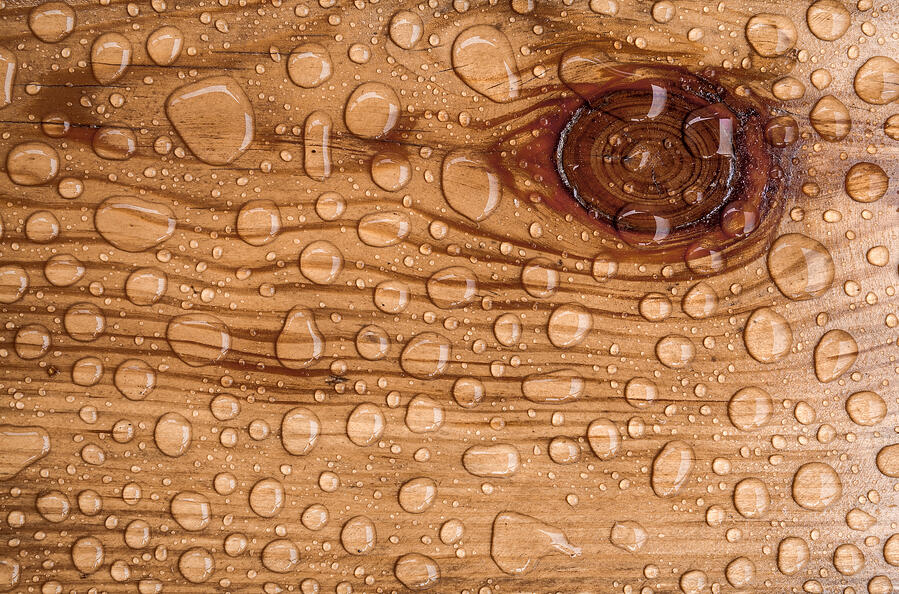 Ensure Proper Moisture Readings with Species Corrections