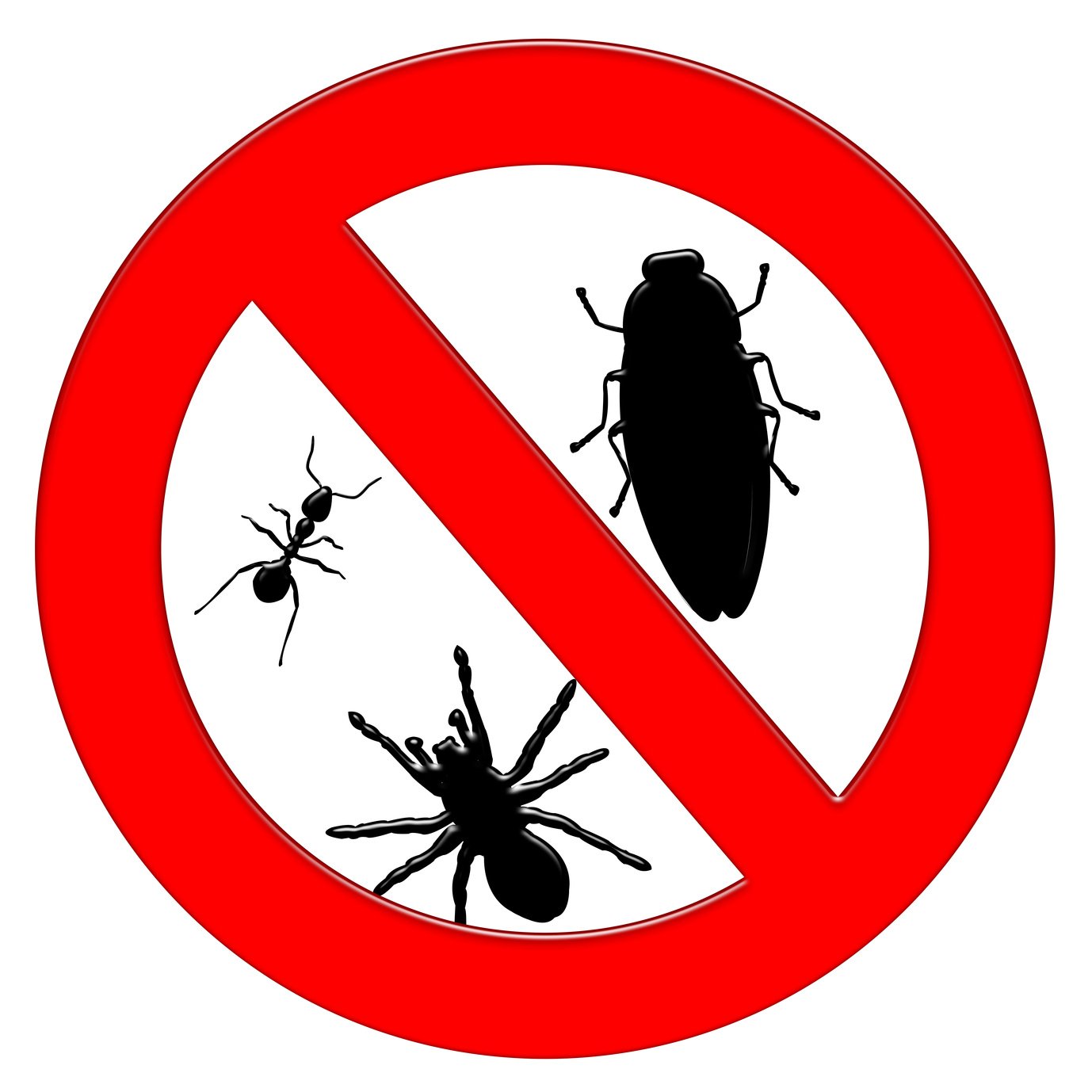 Commercial Pest Control In Yakima