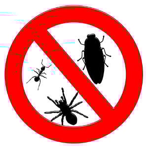 Bed Bug Treatment In Las Vegas