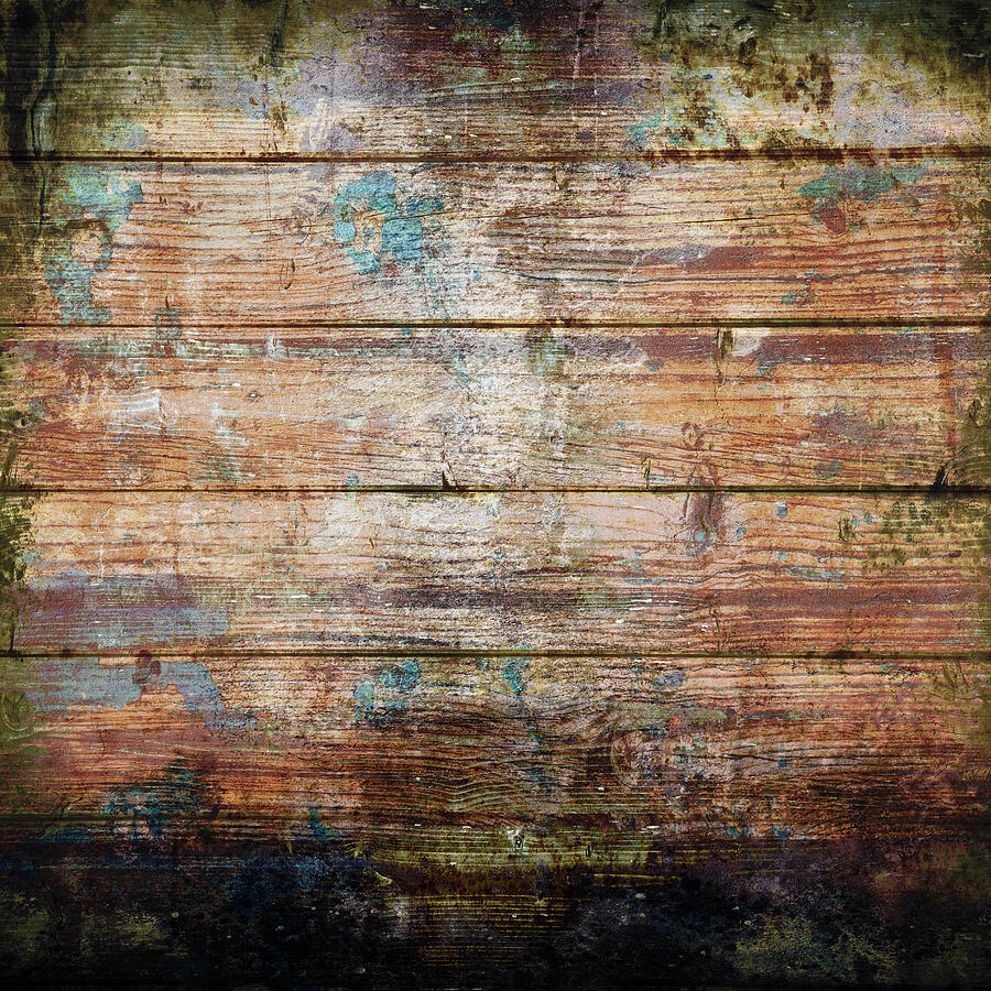 Moldy_Wood.jpg