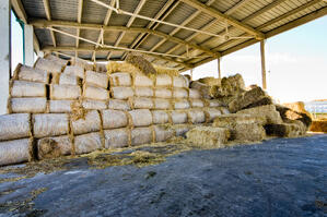 finding a way to shelter hay from the effects of the elements is an important part of preserving it for when you need it.