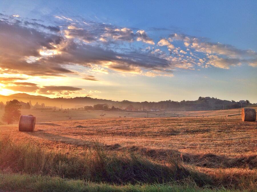 How a Moisture Meter Knows Your Hay is Ready to Bale
