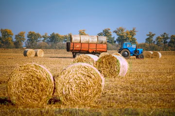 Your Guide to Choosing the Best Moisture Meter to Assist With Your Hay Needs