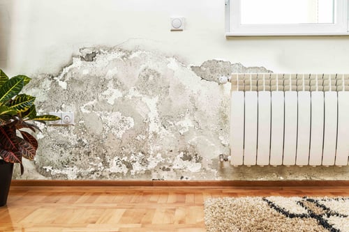 Ensuring Completeness in Water Damage Restoration