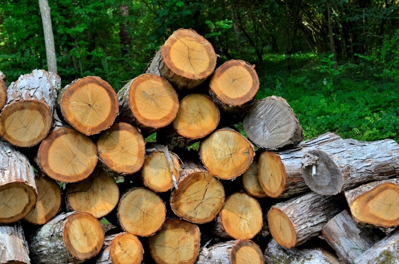 Firewood Moisture Meters-543559-edited.jpeg
