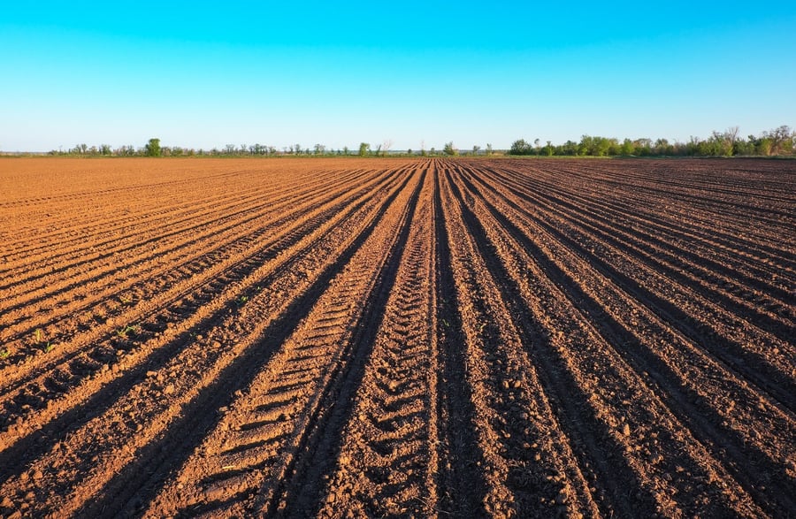 How to Minimize Soil Moisture Loss During Winter-1