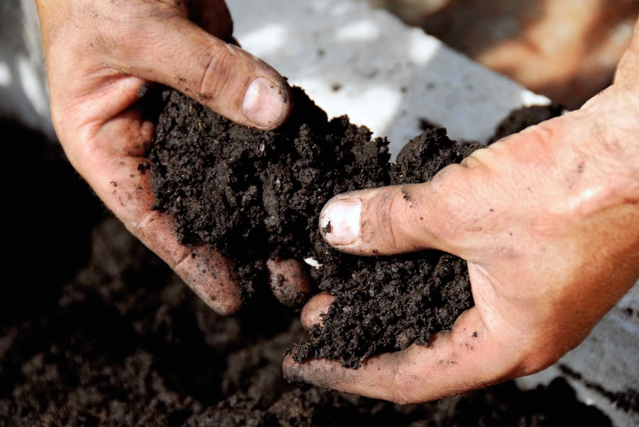 Man Crumbling Soil in his hands