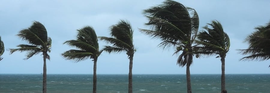 The Hurricane Season Preparedness Checklist-482557-edited-763285-edited