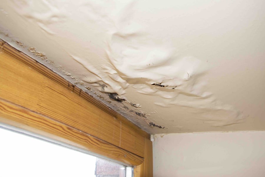 Water-damaged roof blistered heavily
