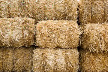 How to Get the Most Out of Your Moisture Meter: A Guide for All of Your Hay Needs