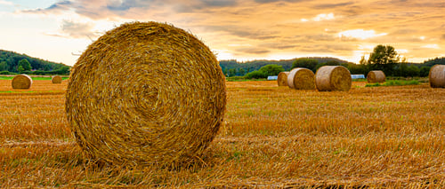 Moisture Meters and Product Support for the Hay Industry