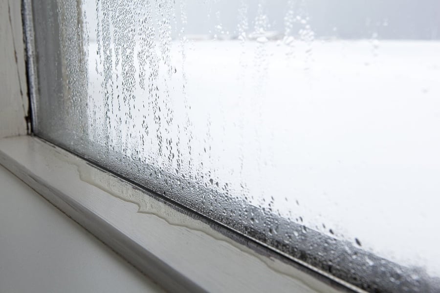 Why Do You Need Quantitative Moisture Readings-1