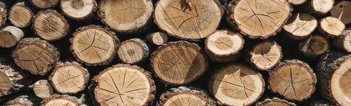 How Out of the Woods Forestry Produces Quality Kiln-Dried Lumber – While Saving Time and Money