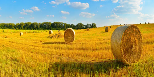 The Benefits of High-Quality Moisture Meters for Hay Producers