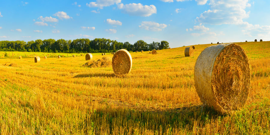The Benefits of High-Quality Moisture Meters for Hay Producers