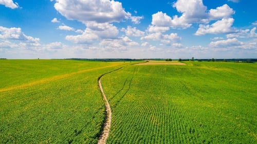 agriculture-512054-edited