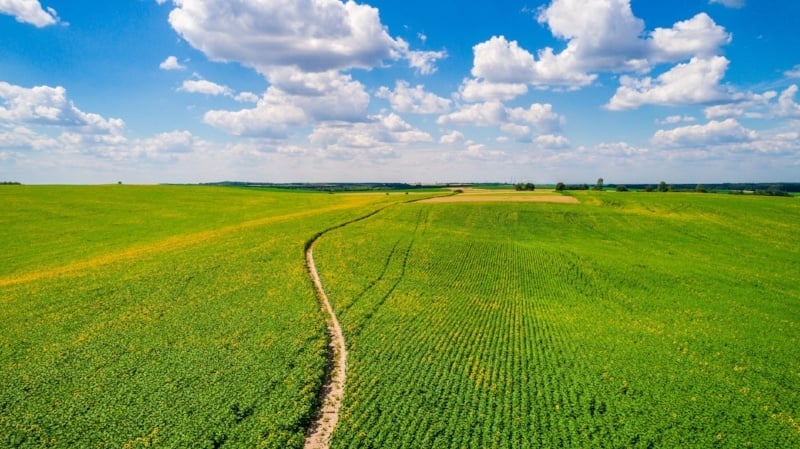 agriculture-512054-edited