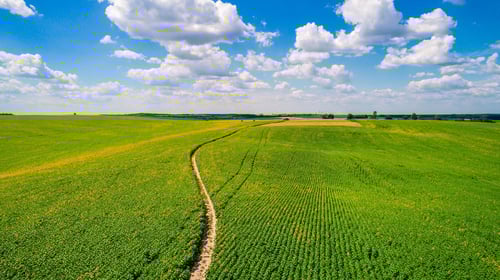 The Best Way to Get Accurate Moisture Content Measurements