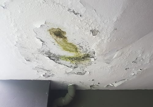 How to Get the Most Out of Your Moisture Meter: A Guide for Water Damage Restoration Professionals