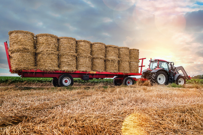  A tractor pulls a flatbed loaded with hay bales through a field.