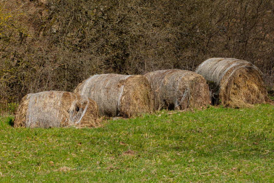 Hay bale rolls covered with plastic net stock