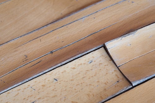 Your Guide to Choosing the Best Moisture Meter for Your Water Damage Restoration Applications