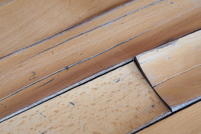 Your Guide to Choosing the Best Moisture Meter for Your Water Damage Restoration Applications