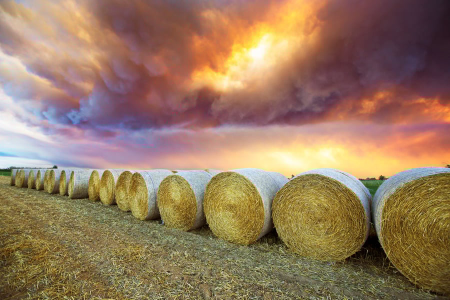 Hay bales field with a red smoking sky due of a lot of fire in the surroundings.