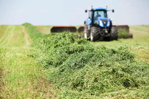 Tractor Towing Merger on Cut Alfalfa (Hay)