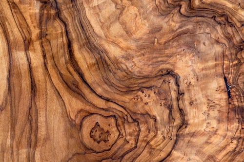 Your Guide to Choosing the Best Moisture Meter for Your Woodworking and Lumber Applications