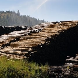 Buying lumber