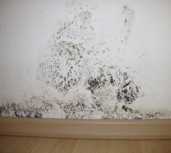 Measure moisture clearance in walls