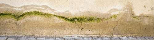 Water Damage Moisture Meter Issues