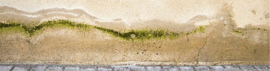 Water Damage Moisture Meter Issues