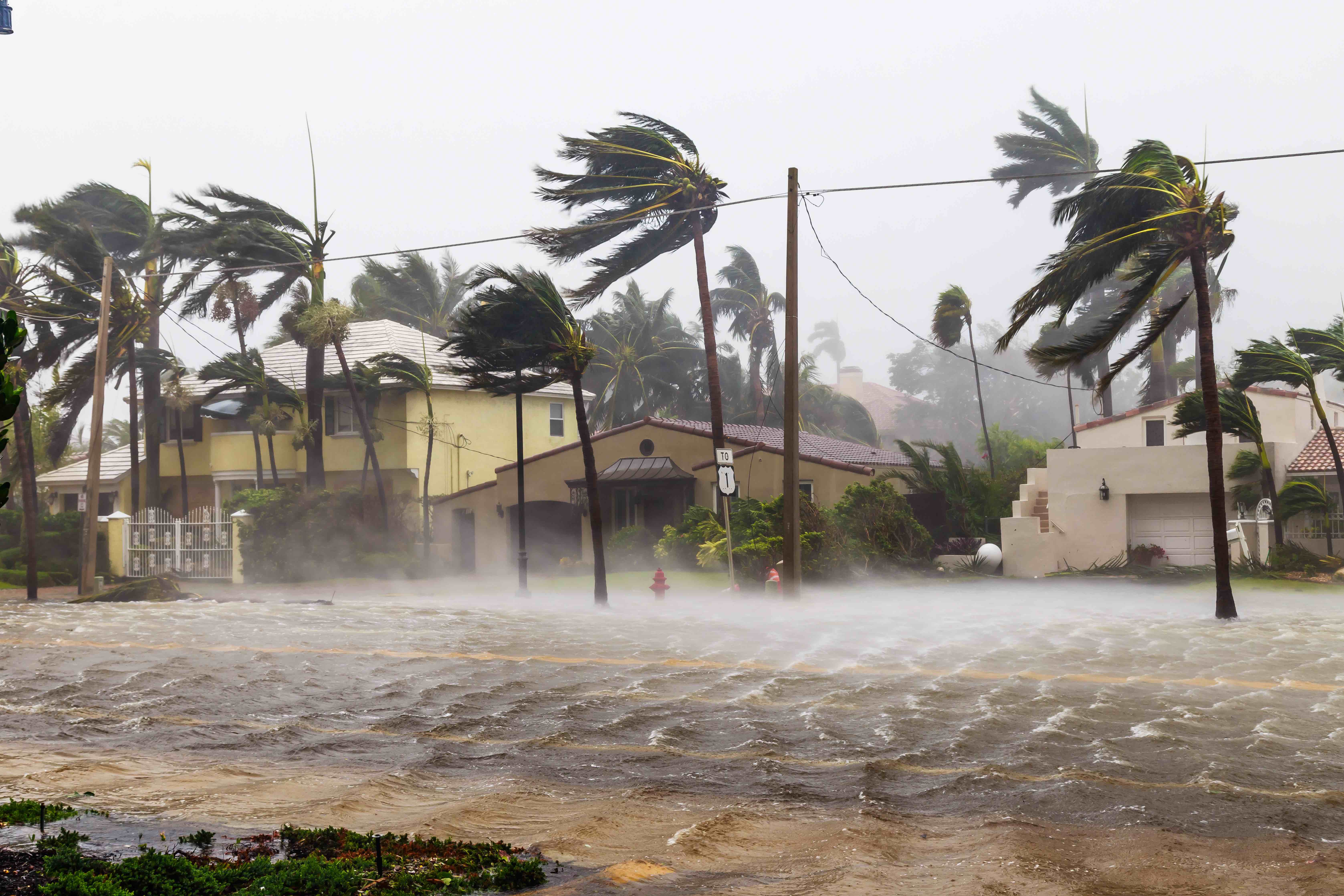 Hurricane photo for header