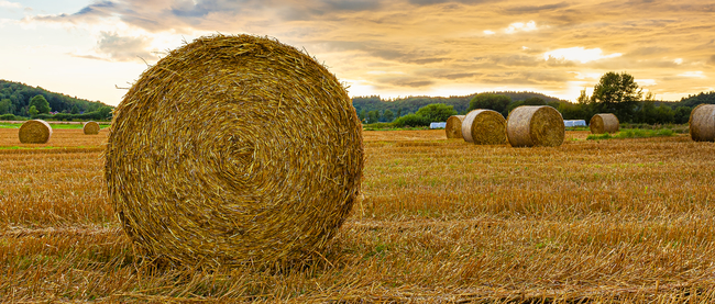Moisture Meters and Product Support for the Hay Industry