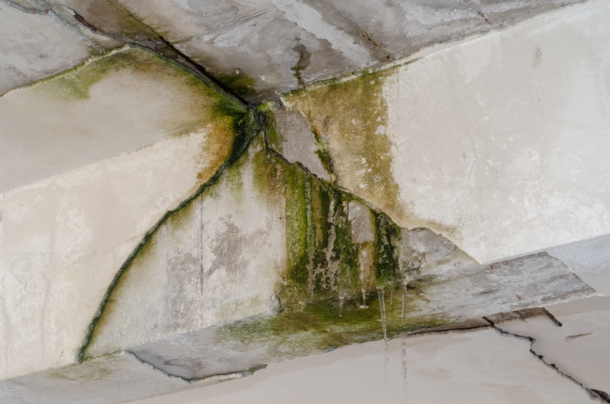Moisture Meters - water damage restoration