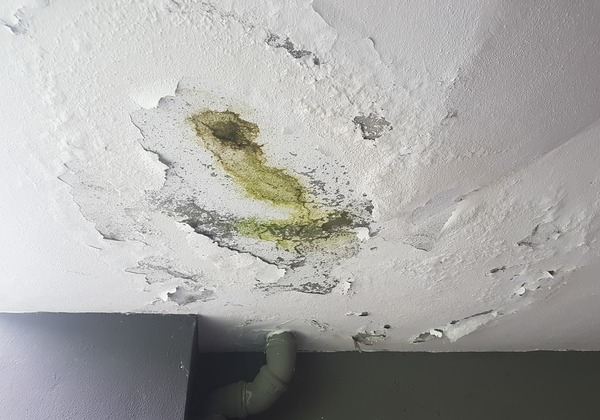 How to Get the Most Out of Your Moisture Meter: A Guide for Water Damage Restoration Professionals